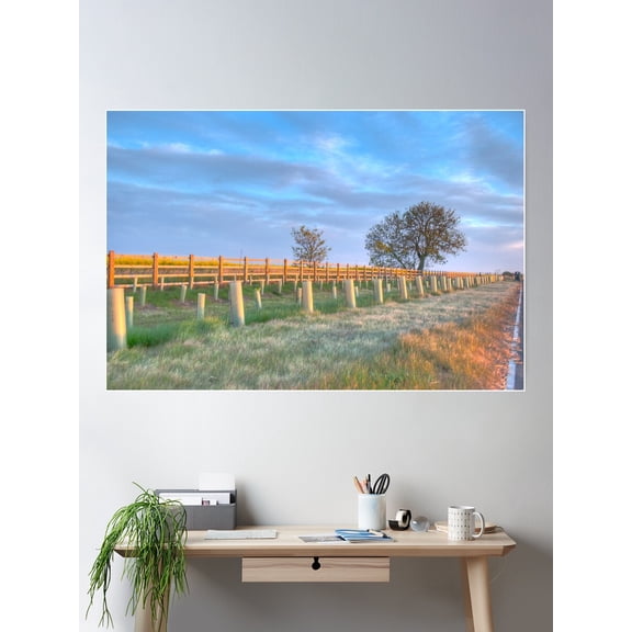 Return To Tree In Silhouette Poster Wall Art, Modern Wall Decor For Living Room Bedroom, 16x24 UNFRAMED