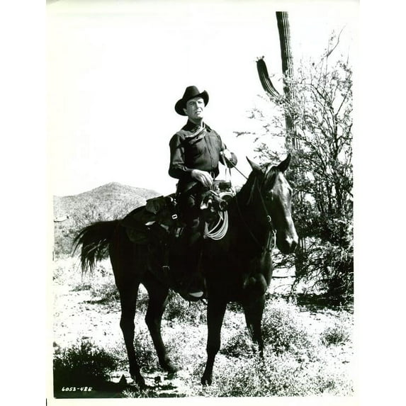 Return of the Gunfighter Movie Poster (8 x 10)