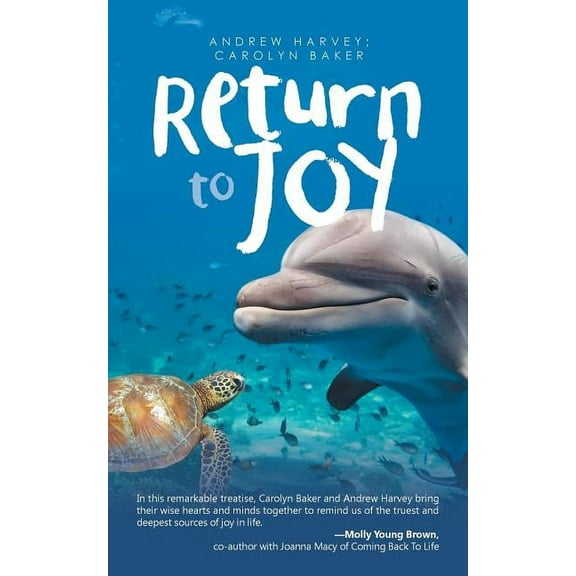 Return to Joy (Paperback)