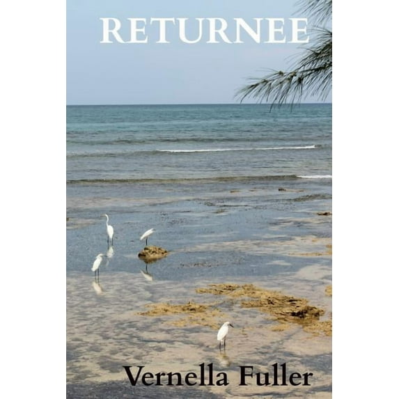 Returnee (Paperback)