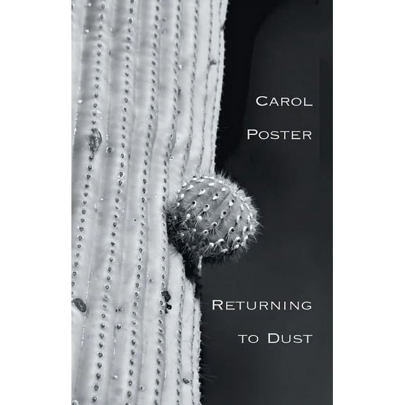 Returning to Dust (Paperback)