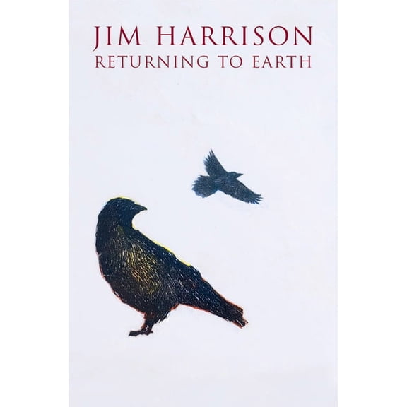Returning to Earth, (Paperback)