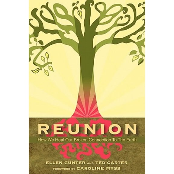 Pre-Owned Reunion: How We Heal Our Broken Connection to the Earth (Paperback) 0966780876 9780966780871