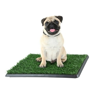 Potty grass top for dogs walmart
