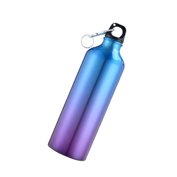 Reusable Aluminum Sports Gym Fitness Jug Leakproof 750mL Water Bottle with Carabiner Hook for Travel Hiking and Outdoor Training 9.84 inches / 25 cm Multicolor