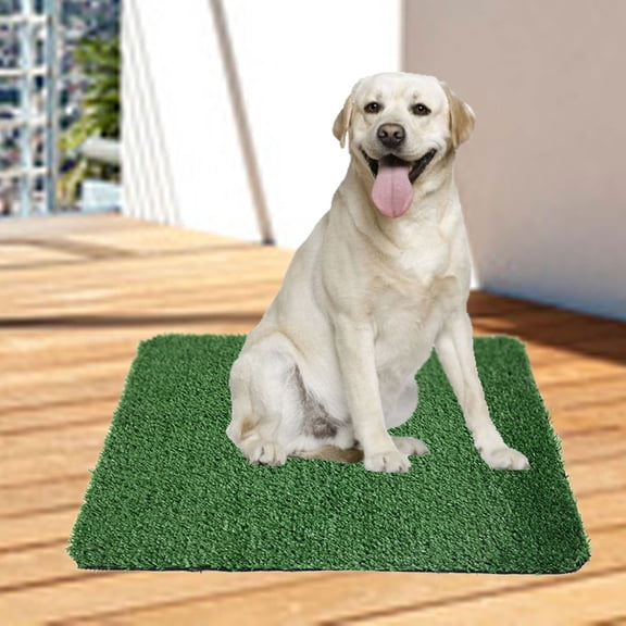 Reusable Artificial Grass Puppy Pee Pad | Indoor & Outdoor Dog Potty Training Pad | 1-Pack Fake Sod for Dogs | Easy Clean & Fast Drainage