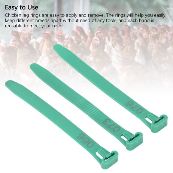 Reusable Chicken Leg Rings, Numbered 1,100 For Poultry Management, Durable PP Material, 100 Count