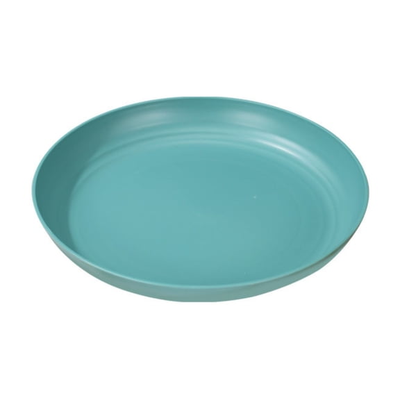 Reusable Dinner Plate Set of 1 Plastic Alternative Microwave & Dishwasher Safe Plate for Kitchen