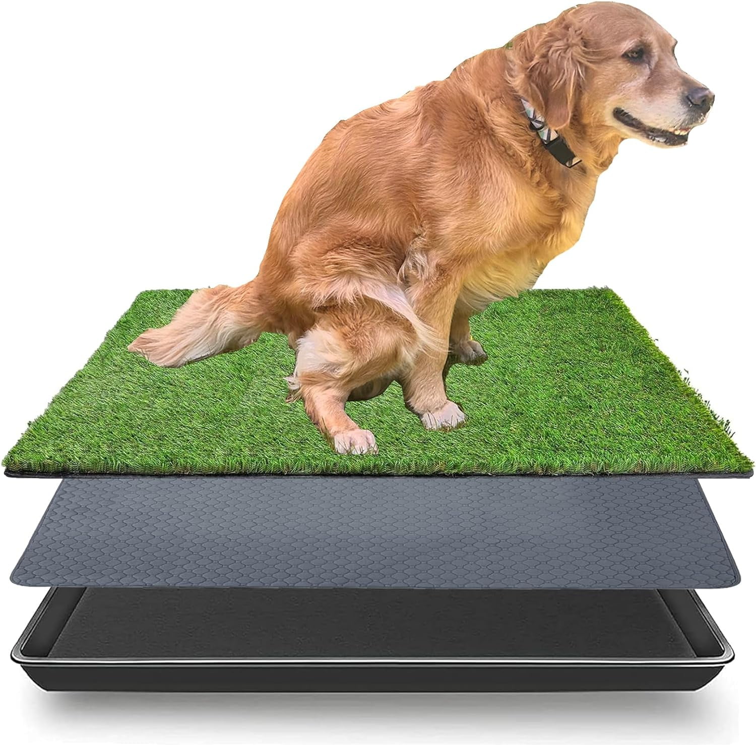 Fake Grass for Dogs in Dog Potty Training Walmart
