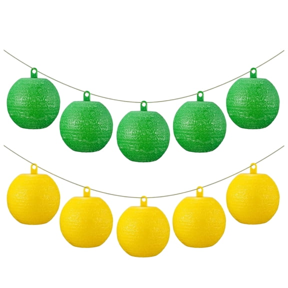 Reusable Hanging Fly Trap Balls for Indoor Outdoor Use Fruit Fly and Mosquito Control Insect Catcher Balls Set of 10 for Home Garden Kitchen Farm