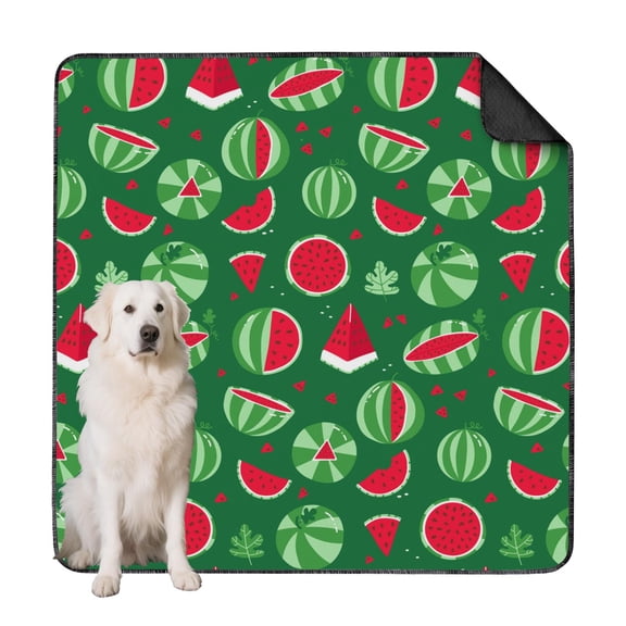 Reusable Indoor Dog Potty Pads, Fruit Design Washable Non-Skid Pee Mat for Puppy Training Station (Fruit patterns, 72"x72")