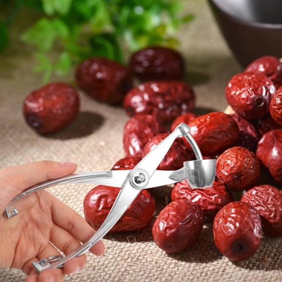 Reusable Metal Core Remover Cherry Pitter Compact Lightweight for Home Kitchen Use