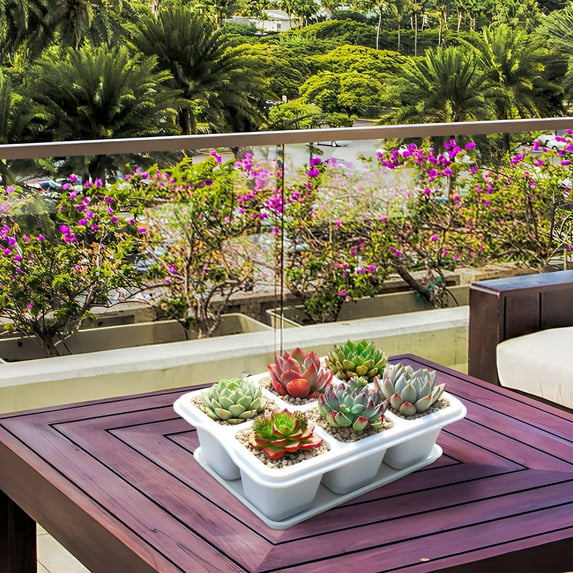 Reusable Nursery Planting Trays with Drainage Holes - 4/6 Point Flexible Starting Pots for Indoor Outdoor Gardening - Space Saving Fleshiness Plant Containers for Flowers Vegetables Cuttings