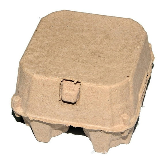 Reusable Paper Egg Cartons, Natural Pulp, Sturdy Buckle, 4 Compartments, for Chicken Eggs Storage