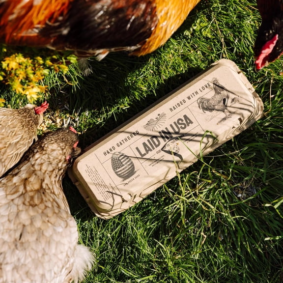 Reusable Paper Pulp Egg Cartons - 48-Pack, 12-Count with Date Labeling for Market & Home Transport