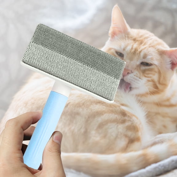 Reusable Pet Hair Remover for Furniture and Carpet Detachable Removal Tool Cat Dog Hair Cleaner