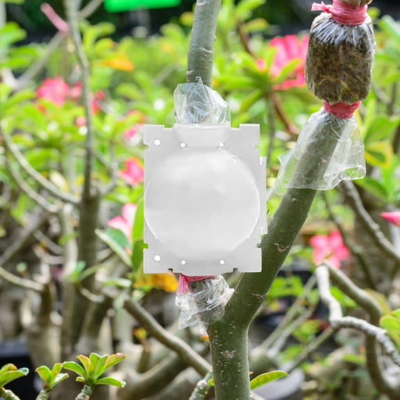 Reusable Plant Rooting Ball, Tree Rooting Growing Box Grafting Tools, High Pressure Propagation Ball Grafting Device for Indoor Outdoor Plants(Large size White)