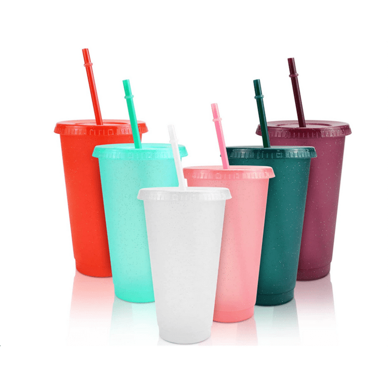 Reusable Plastic Cups with Straws & Lids -Casewin 6Pcs 24oz Bulk