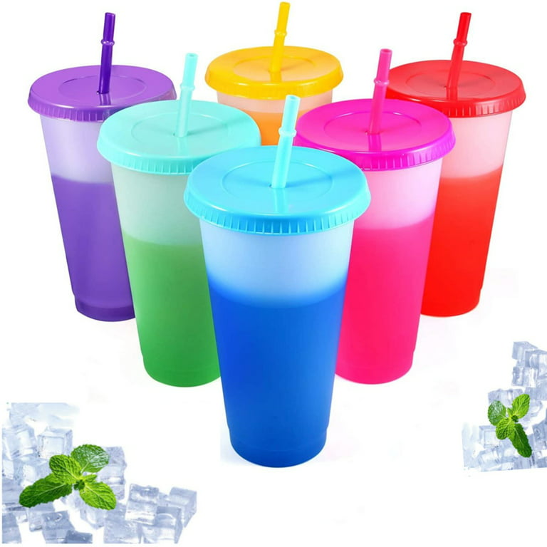 Reusable Plastic Tumblers with Lids & Straws - 6 Pcs 16oz Color Changing  Cups for Adults Kids Women Party