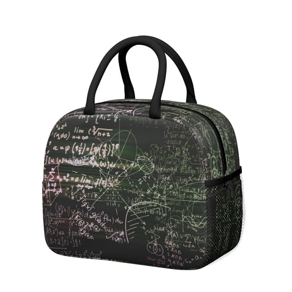 Reusable Scientif Lnsulated Lunch Bag for Women & Men-Leakproof Water-Resistant Cooler Tote,Large Capacity(10.6x8.7x6.3in)for Work,Office,Travel,Picnic,Beach.