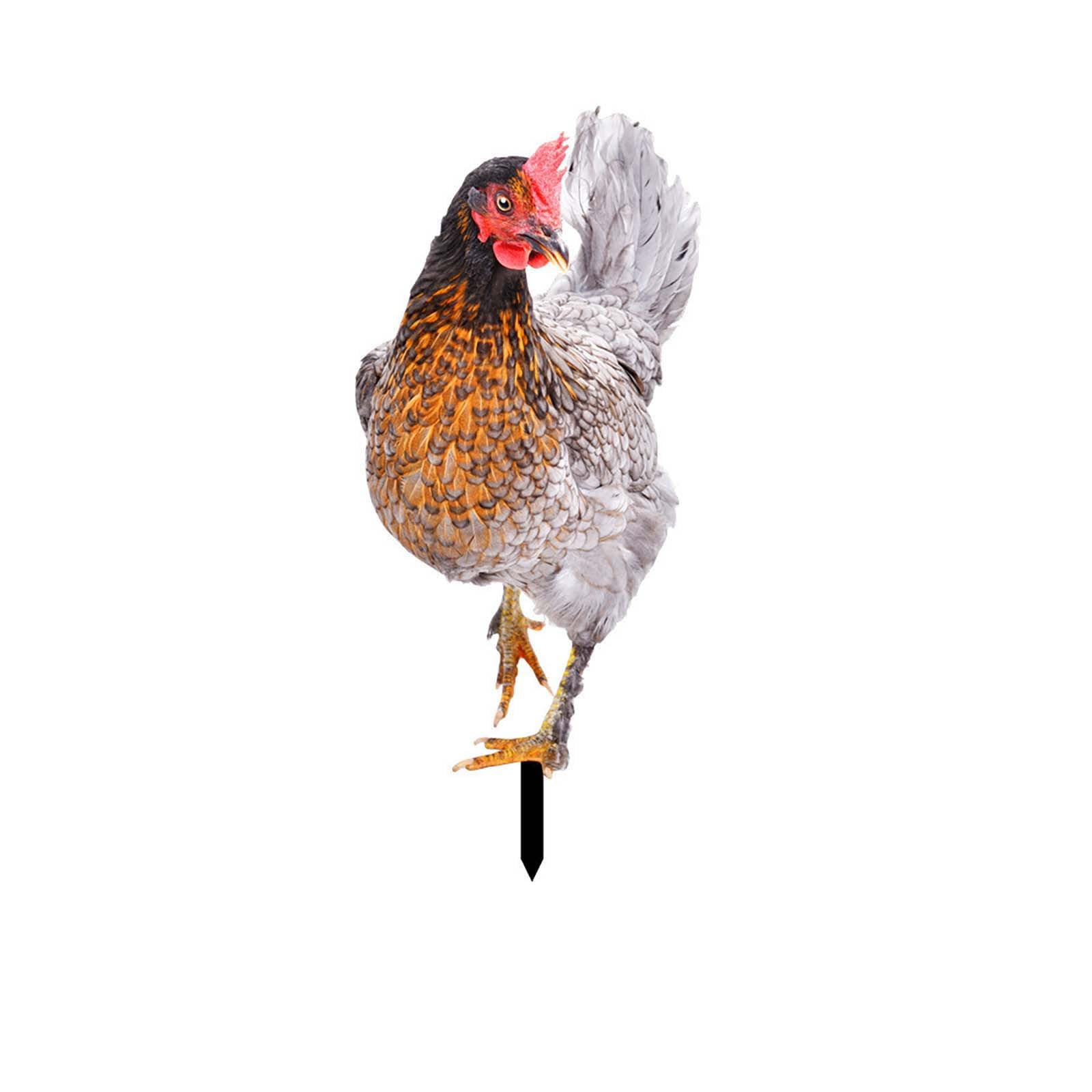 Reusable Snap Heat Pack Cute Vermiculite for Gardening Bulk Address