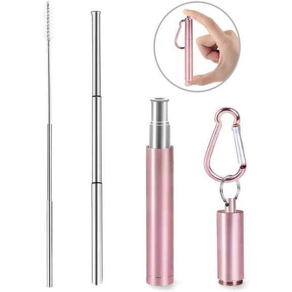 Reusable Telescopic Stainless Steel Straw with Cleaning Brush & Case, Rose Gold