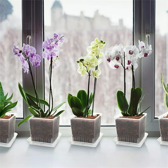 Reusable Transparent Plastic Flower Pots,Breathable Orchid Planters,Root Control Pots for Phalaenopsis Repotting,Clear Square Plant Pots