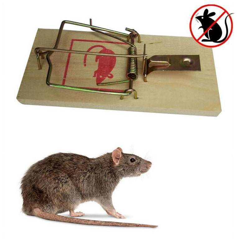 Rat/Mouse Trap Wooden Standard Rat Trap Mouse Catch Easy to Use, Rat Killer  for Home