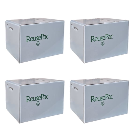 ReusePac 18x14x12in Reusable Foldable Boxes 4 Pack Gray