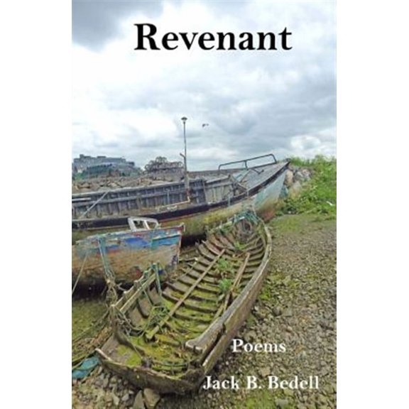 Revenant (Paperback)