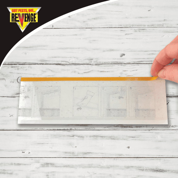 Bonide Revenge Fly Trap - Single Pack Residential Use, Standard Application