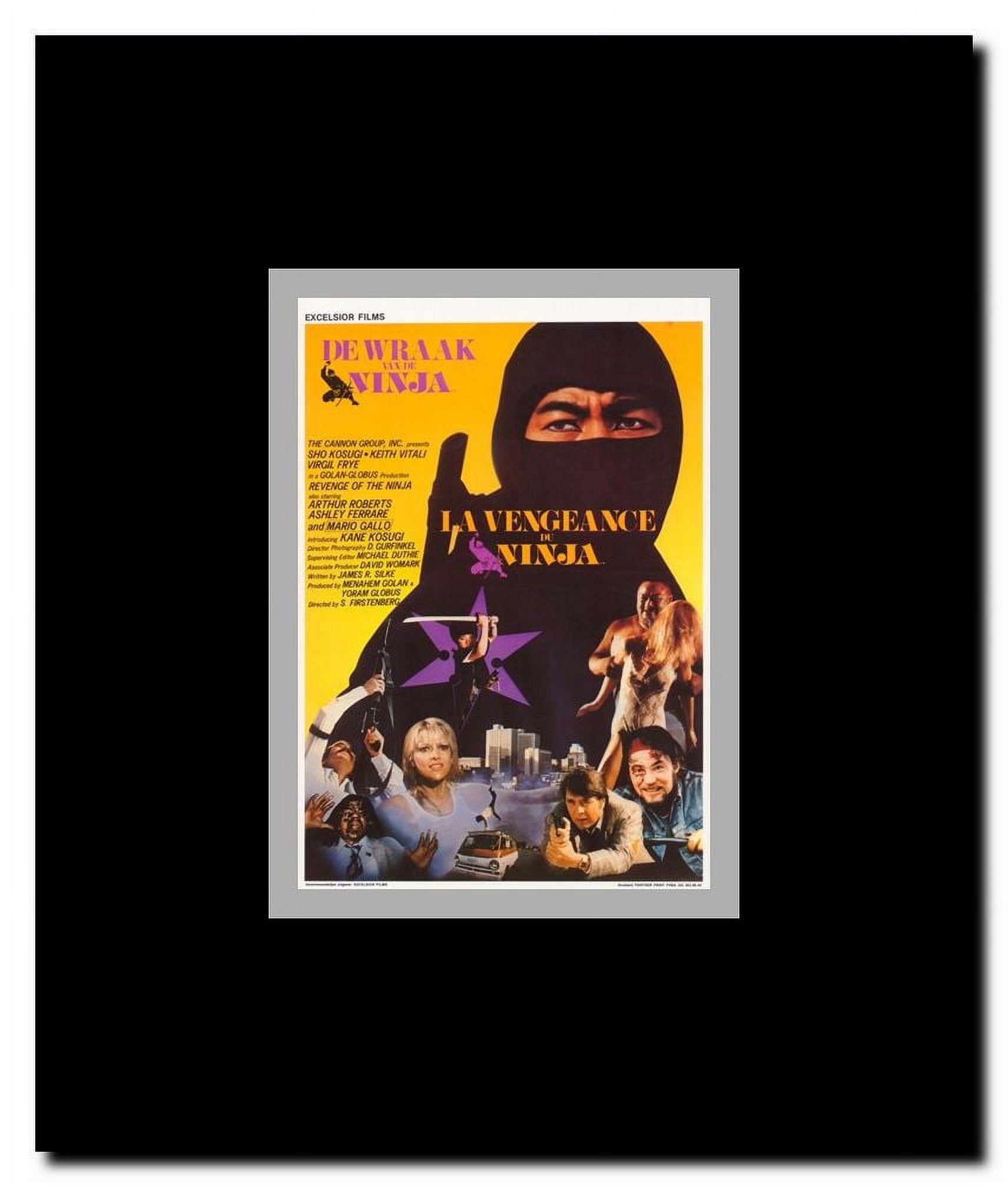 Revenge of the Ninja Framed Movie Poster