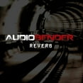 thumbnail image 1 of Reverb, 1 of 1