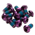 thumbnail image 1 of Reverse Disc Rotor Bolts, M5x10, 12/Pack - Purple, 1 of 1