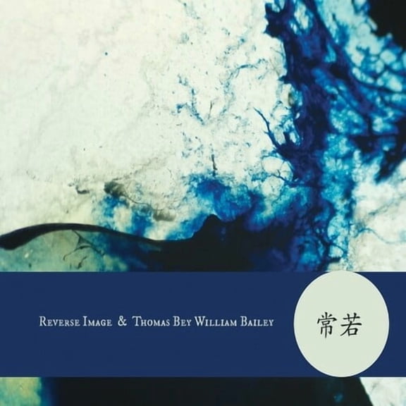 Reverse Image / Thomas Bey William Bailey - Tokokawa - Music & Performance - CD