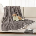thumbnail image 1 of Reversible Dog Blanket Pet Throw for Large Dogs Cats Sofa Cover Protector Machine Washable Up to 19.7x27.6 Inches(Brown/S), 1 of 6