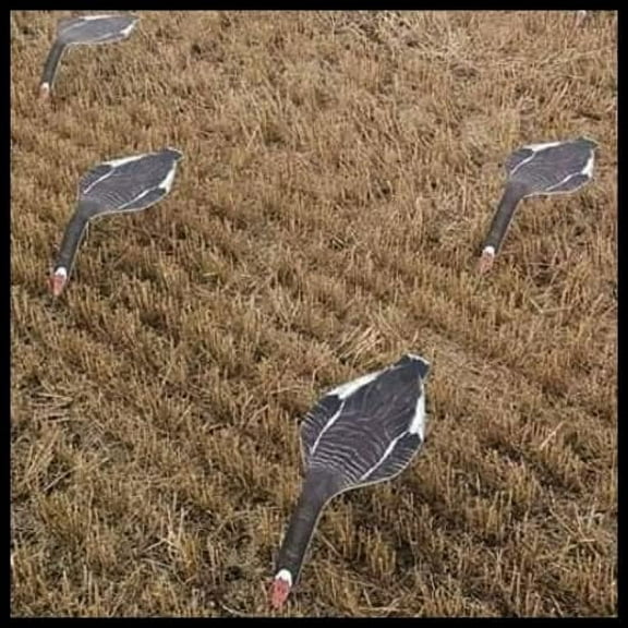 Reversible Snow Goose Decoy/Specklebelly Goose Decoy- SBS1-12 Pack$$Other