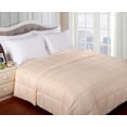 thumbnail image 1 of Reversible Solid and Stripes Lightweight Microfiber Comforter Blanket Ivory / Twin/Twin XL, 1 of 3