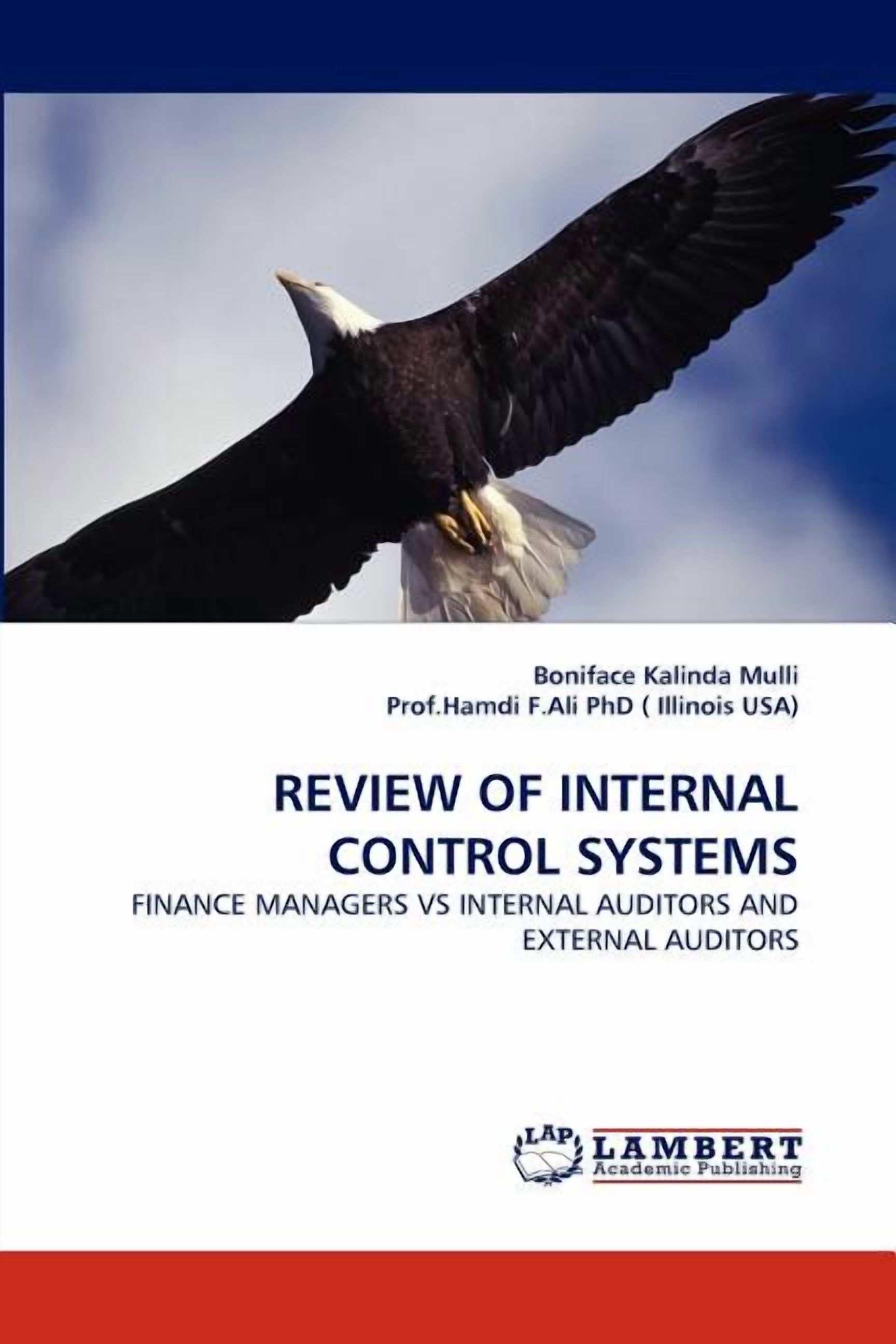 Review of Internal Control Systems (Paperback) - Walmart.com
