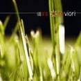 thumbnail image 1 of Reviori, 1 of 1