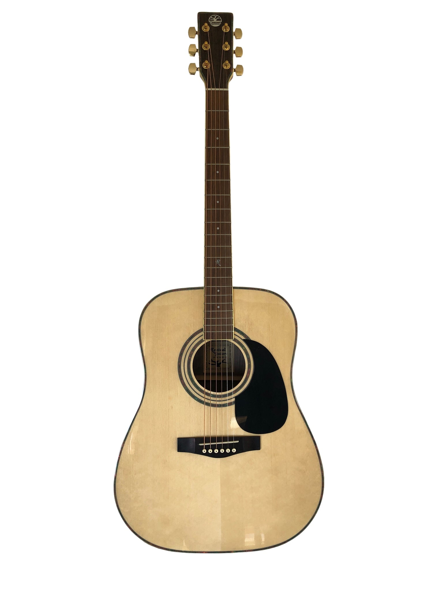 Revival Dreadnought Acoustic Guitar Black Spruce Top with D'Addario Strings