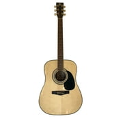 Revival Dreadnought Acoustic Guitar Black Spruce Top with DAddario Strings