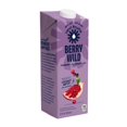 Revl Fruitsâ„¢ 100 Juice, No Added Sugar, Cranberry Pomegranate Acai