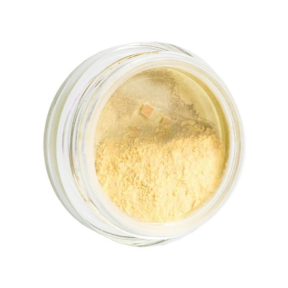 Revlon Color Charge Loose Powder Eye Shadow