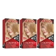 thumbnail image 1 of Revlon ColorSilk Beautiful Permanent Hair Dye, Dark Brown, At Home Full Coverage Application Kit, 70 Medium Ash Blonde, 3 Pack, 1 of 11