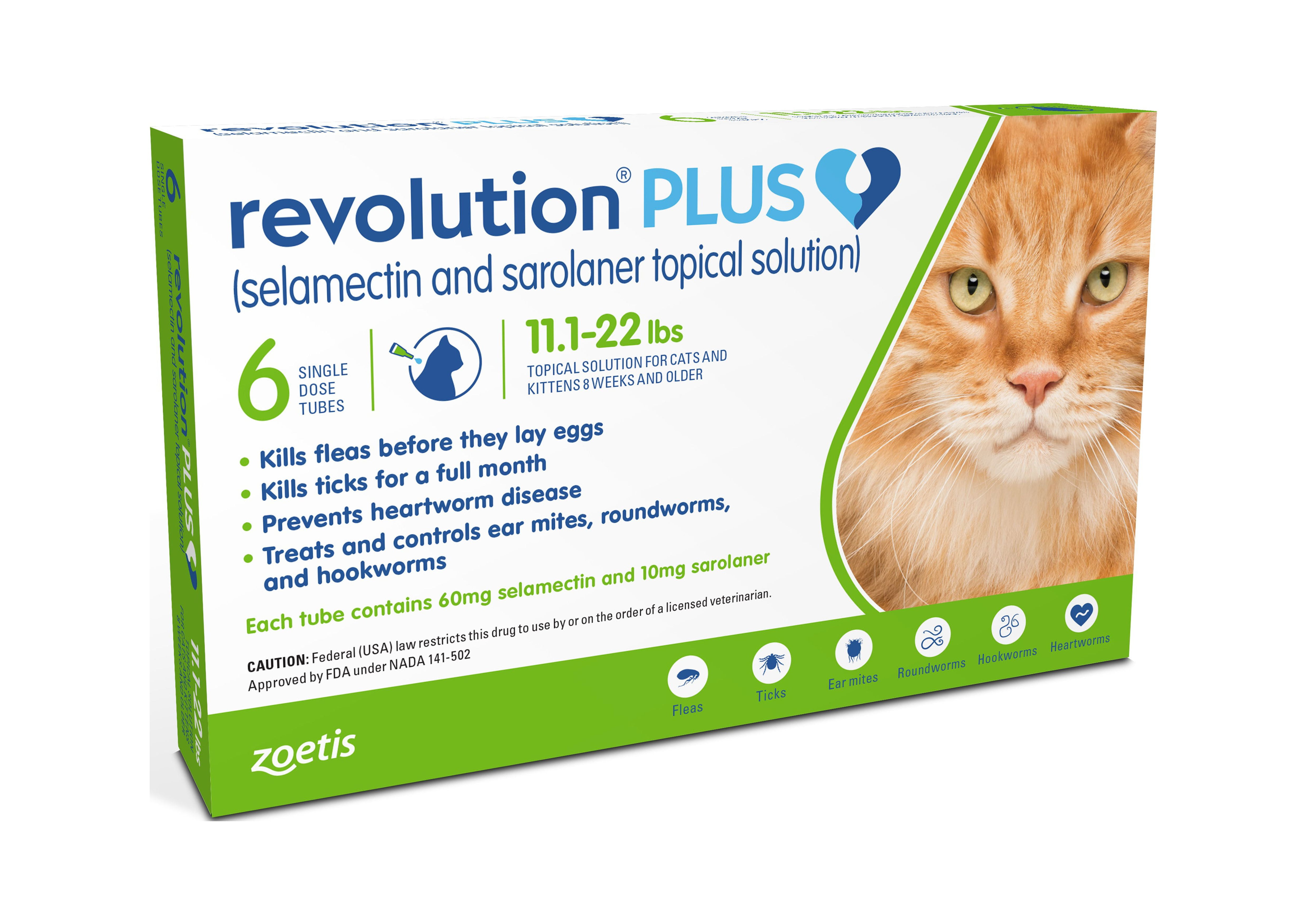 Cat Flu