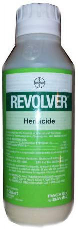 aloe vera plant for scabies Medicinal Aloe Vera