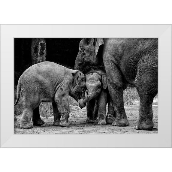 Rex, Ernest 14x11 White Modern Wood Framed Museum Art Print Titled - Friends Forever
