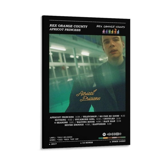Rex Orange County Posters Apricot Princess Music Song Album Cover Canvas Poster Wall Decorative Art Painting Living Room Bedroom Decoration Gift