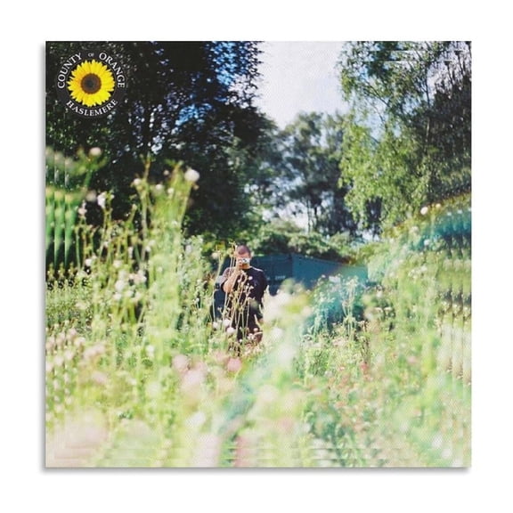Rex Orange County - Sunflower Canvas Poster Wall Decorative Art Painting Living Room Bedroom Decoration Gift